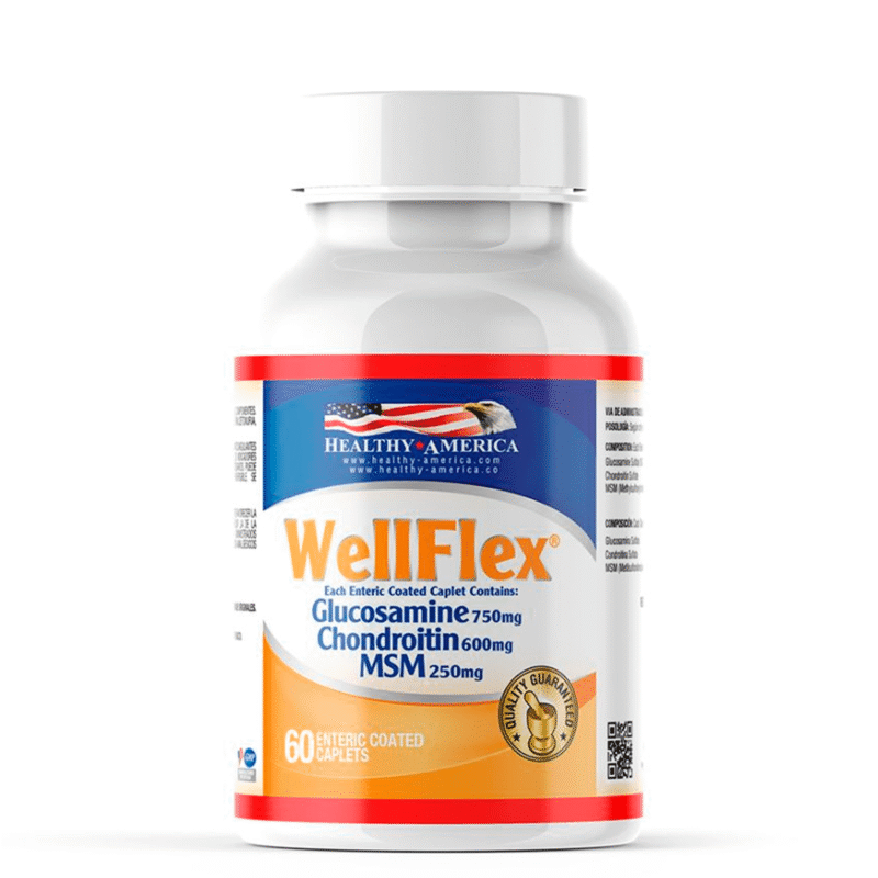 WellFlex Glucosamine 750mg Chindroitin 600mg MSM 250mg x 60 Cápsulas - Healthy America